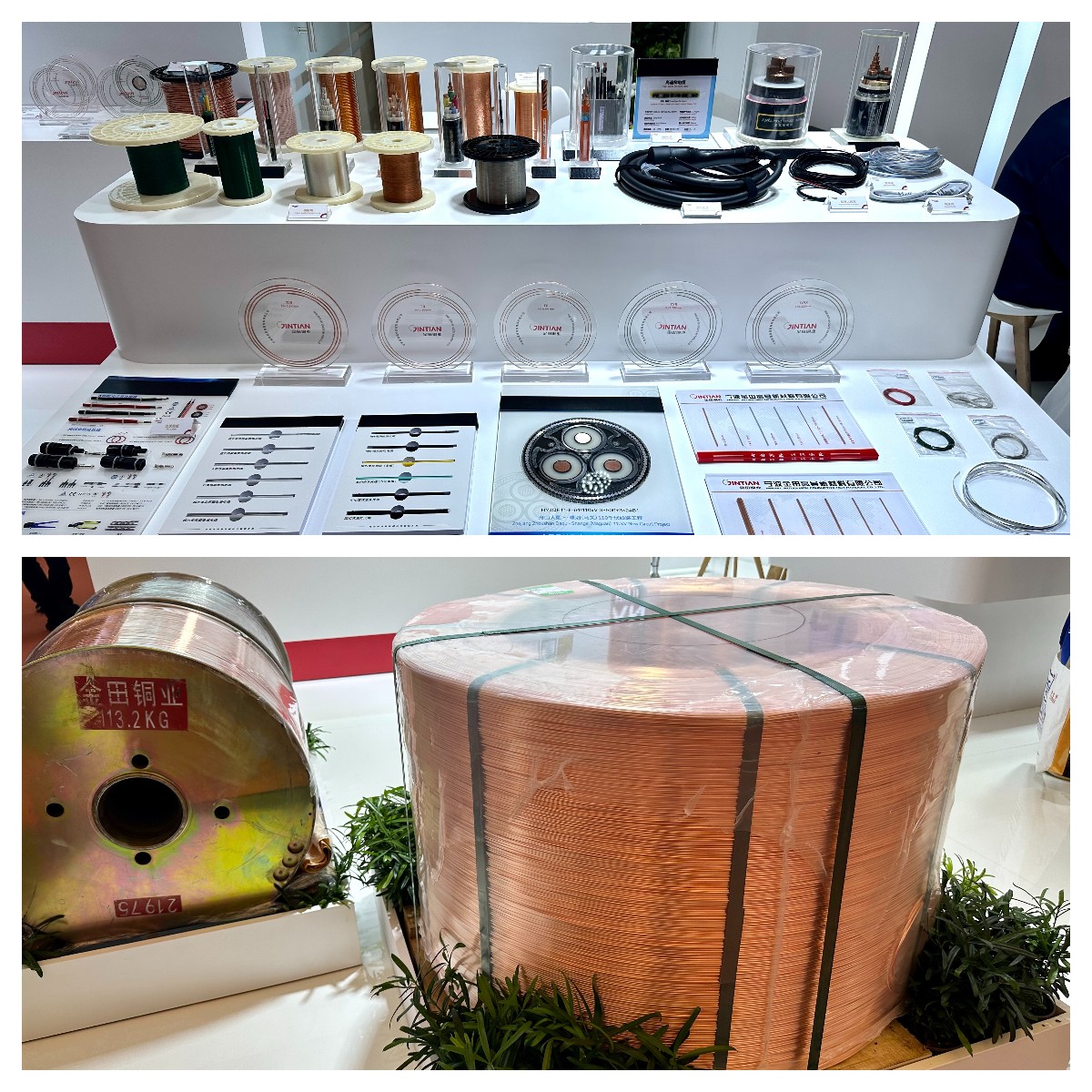 1756792327790062BGSI.jpg 1756792327790062BGSI.jpg